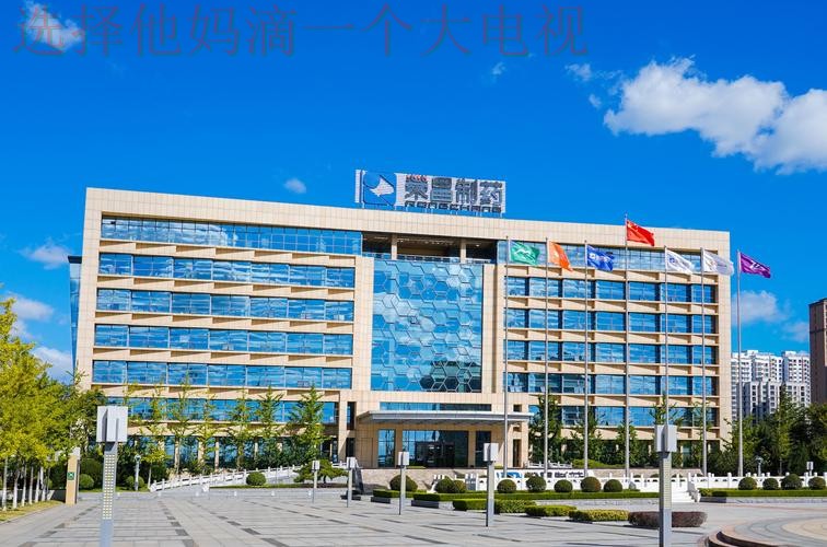 凯发娱乐科技控股未来发展探索 凯发娱乐科技控股未来发展探索