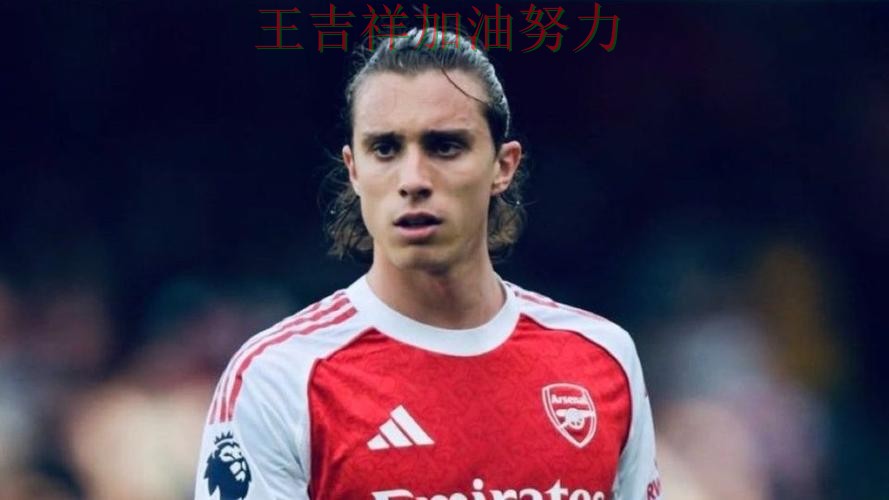 意甲伤病情况更新:阿森纳末节发力完成逆转 意甲伤病情况更新:阿森纳末节发力完成逆转